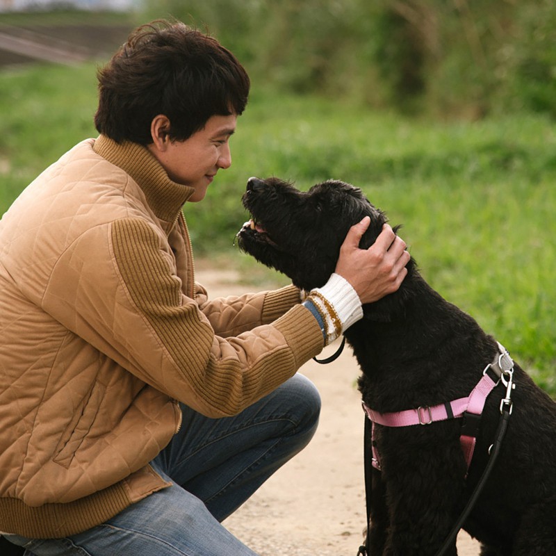 Making A Movie With Doggos