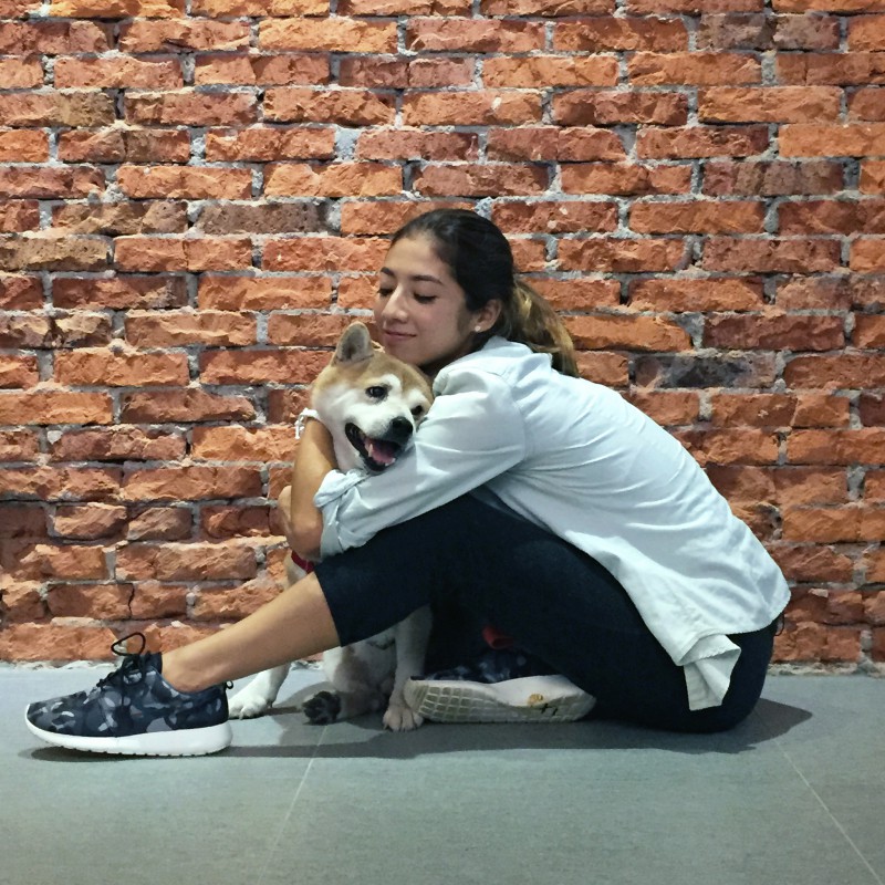 The Diary Of Rima And The Precious Dogs